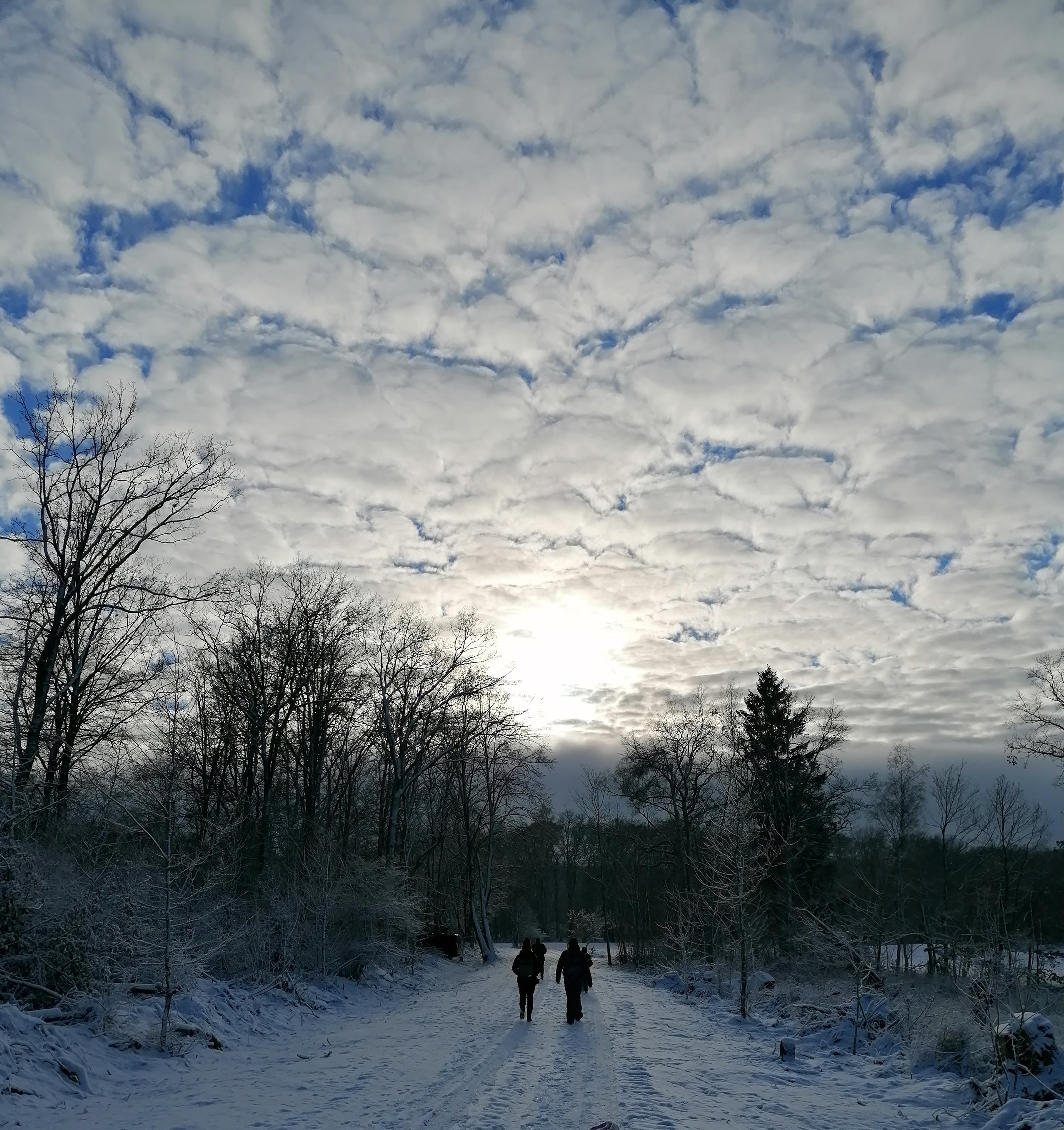 Wandergruppe im Winter im Selketal