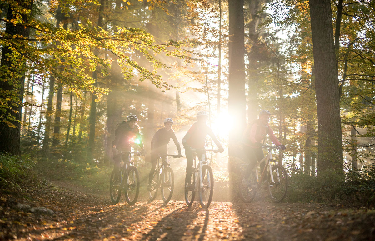 Bikerinnen im Wald bei Morgenlicht
