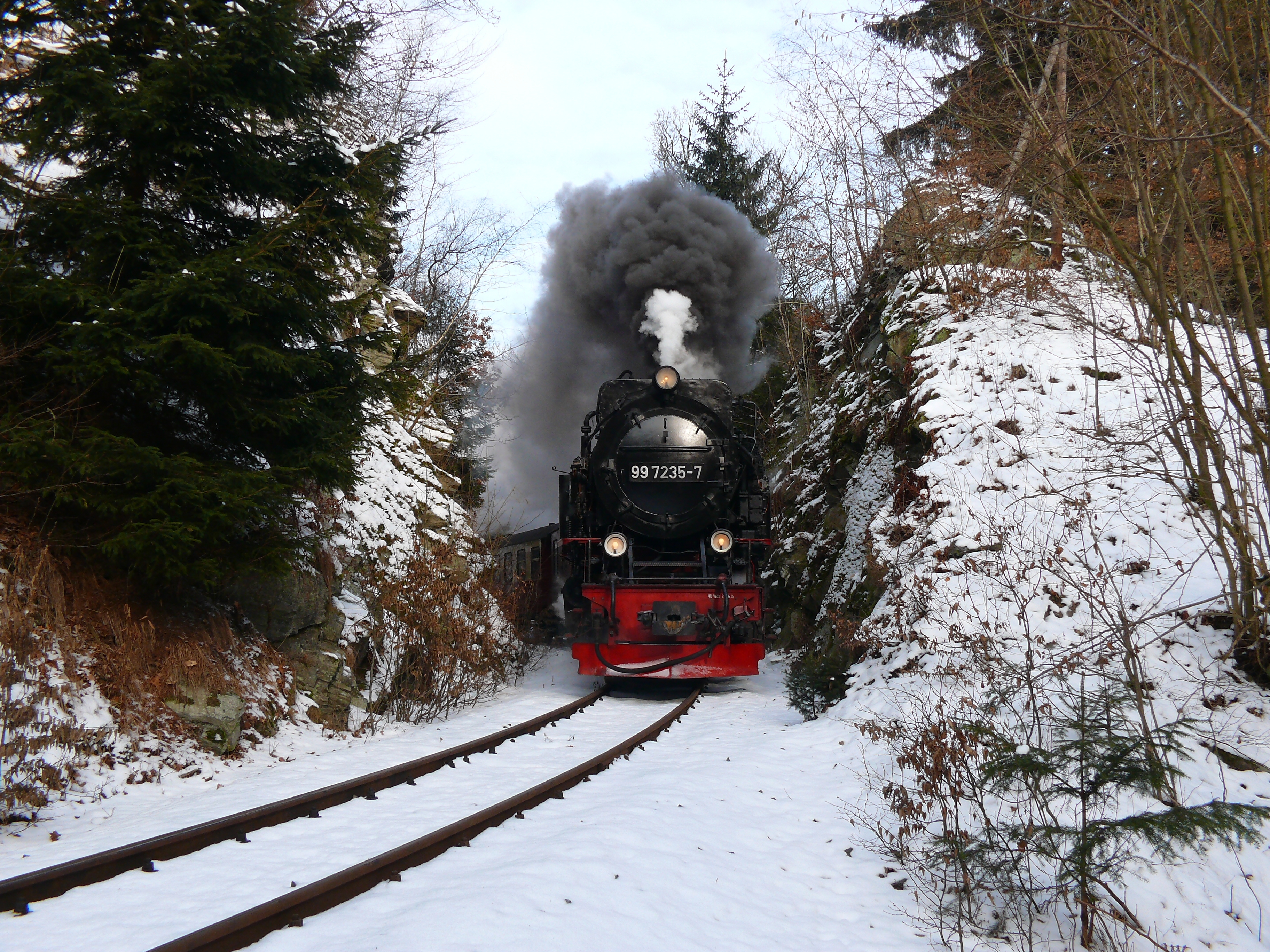 Selketalbahn im Winter