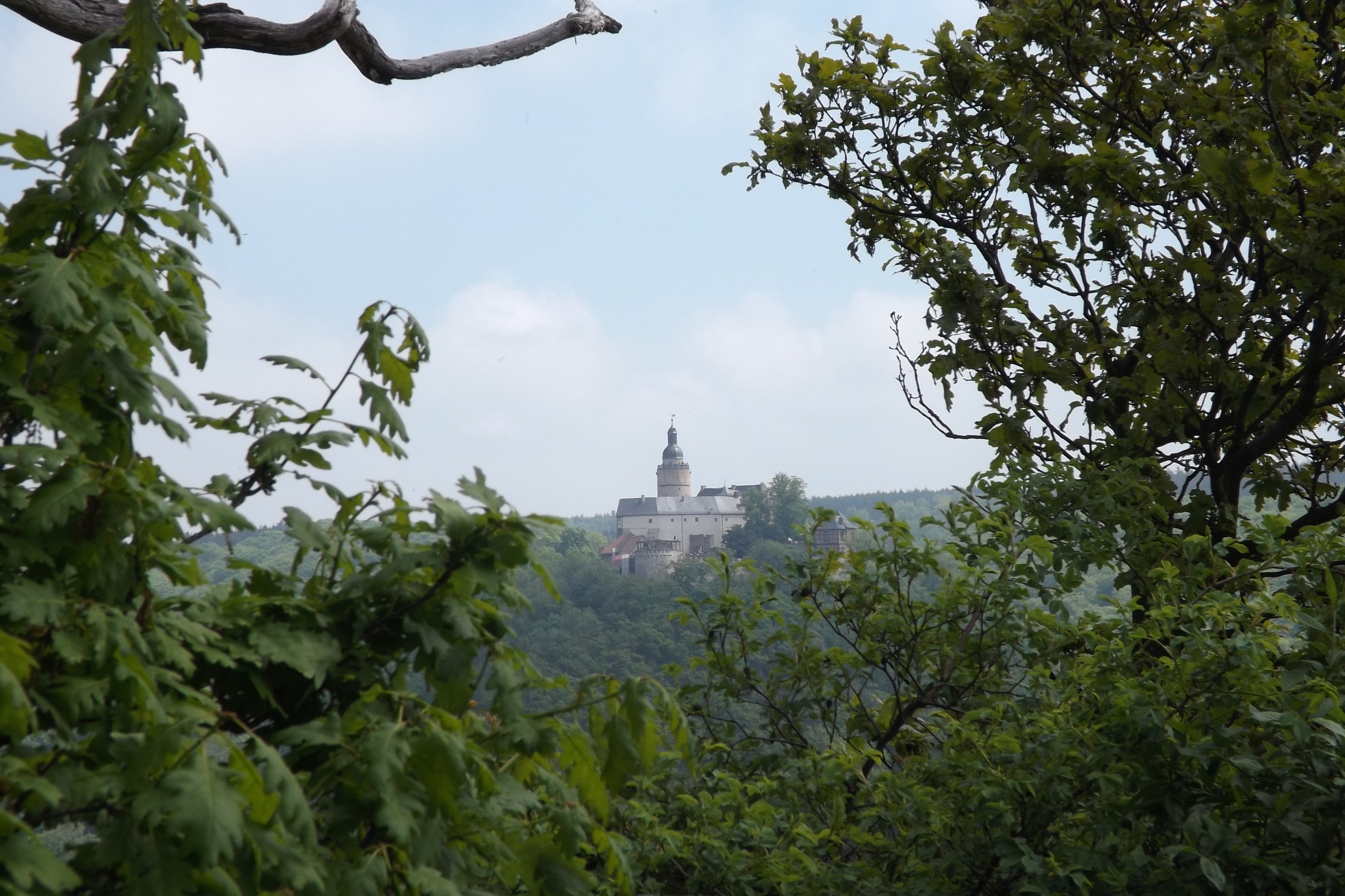 Blick zur Burg Falkenstein