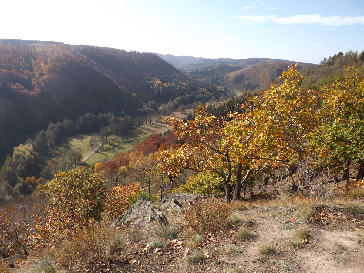 Selkesicht im Herbst; Stempelstelle 204 der Harzer Wandernadel