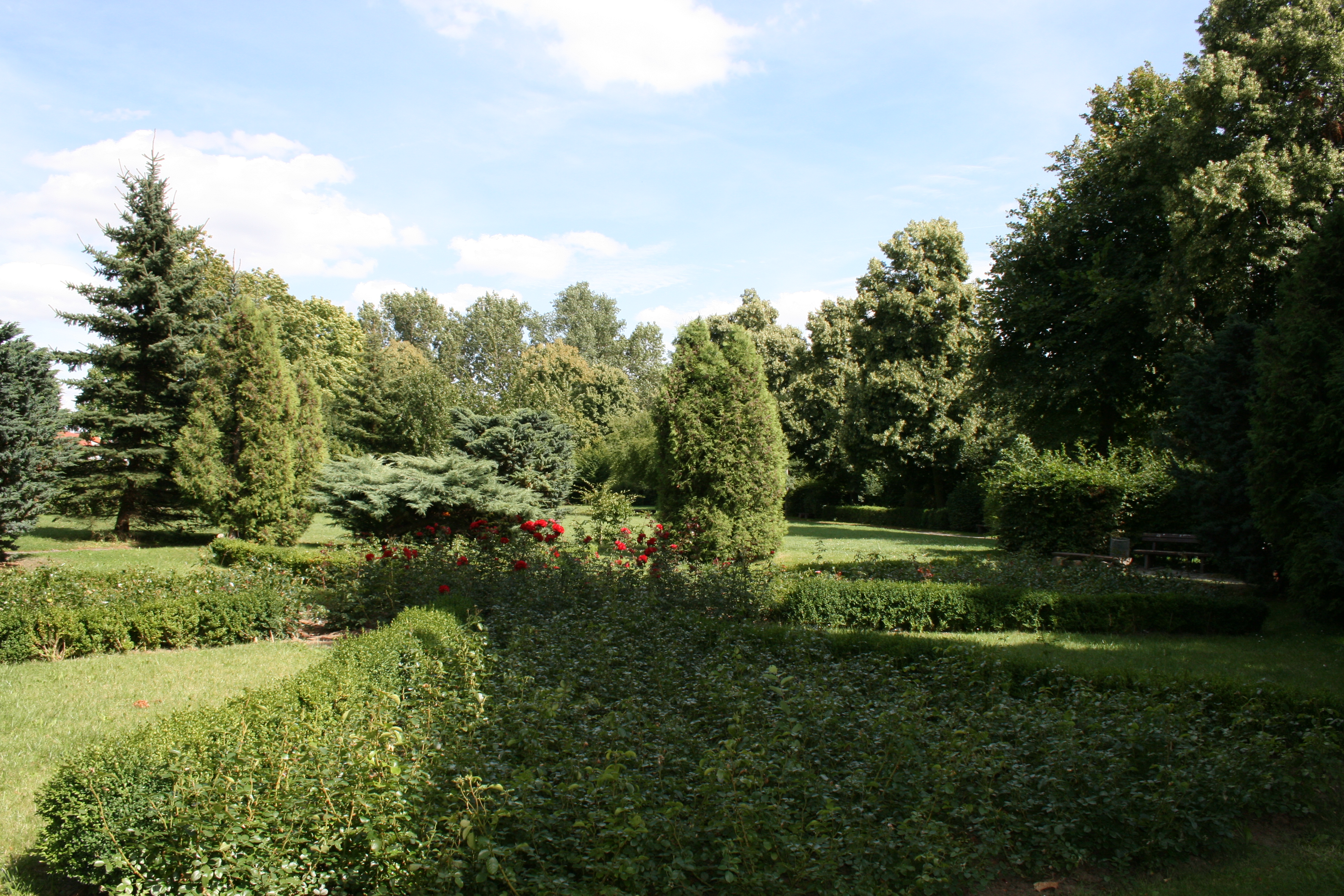 Stadtgarten Harzgerode mit Rosen im Sommer