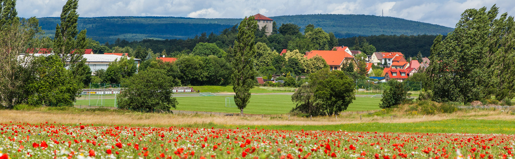 Harzgerode Harzgerode: Stadtkern mit Sehenswürdigkeiten aus Industriekultur und ...