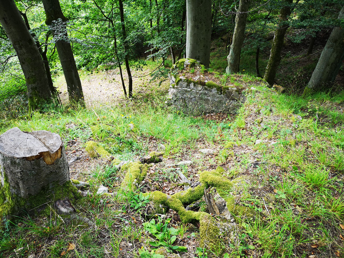 Blick vom Bergfriedplateau auf Reste der Befestigungsmauer der Erichsburg